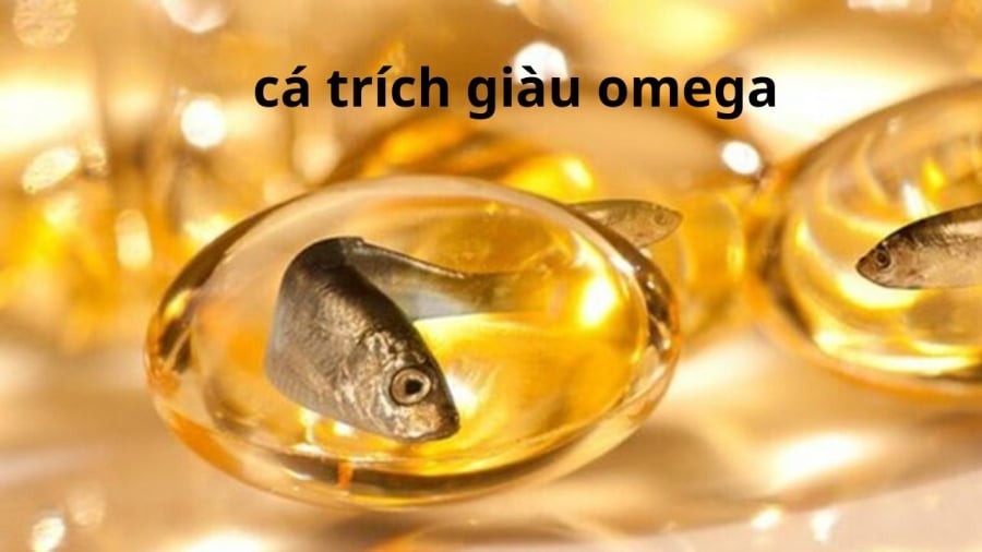Cá trích được xem là loại cá rất giàu omega-3, tương đương cá hồi