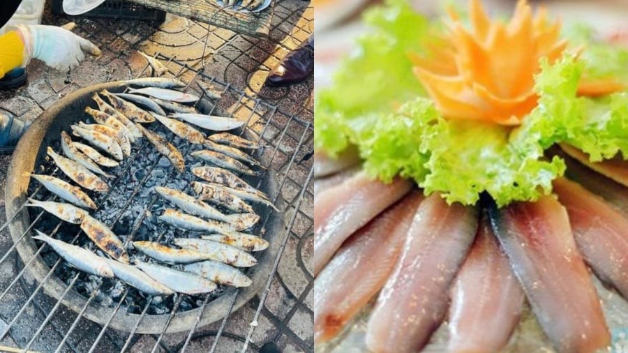 Cá trích giá rẻ lại chế biến nhiều món hợp ẩm thực Việt