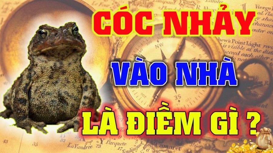 4 con vật Đệ Tử Thần Tài, vào nhà nào nhà đấy Tiền Tài nảy số
