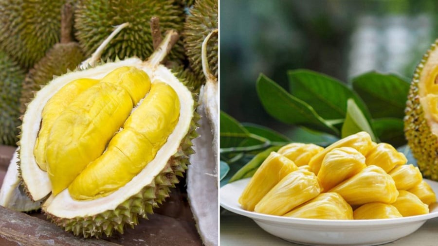 Sầu riêng và mít là những loại trái cây có hàm lượng đường lớn, có thể gây tăng cân nếu ăn nhiều.