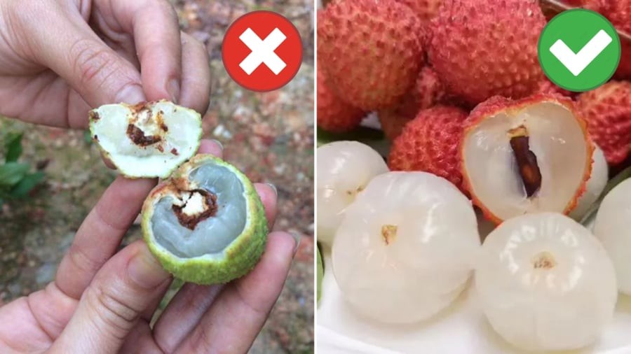 Khi mua vải, bạn nên tránh những quả có đốm đen, đốm đậm màu, đặc biệt là đốm ở phần cuống vì đó có thể là vải bị sâu đầu, bị hỏng.