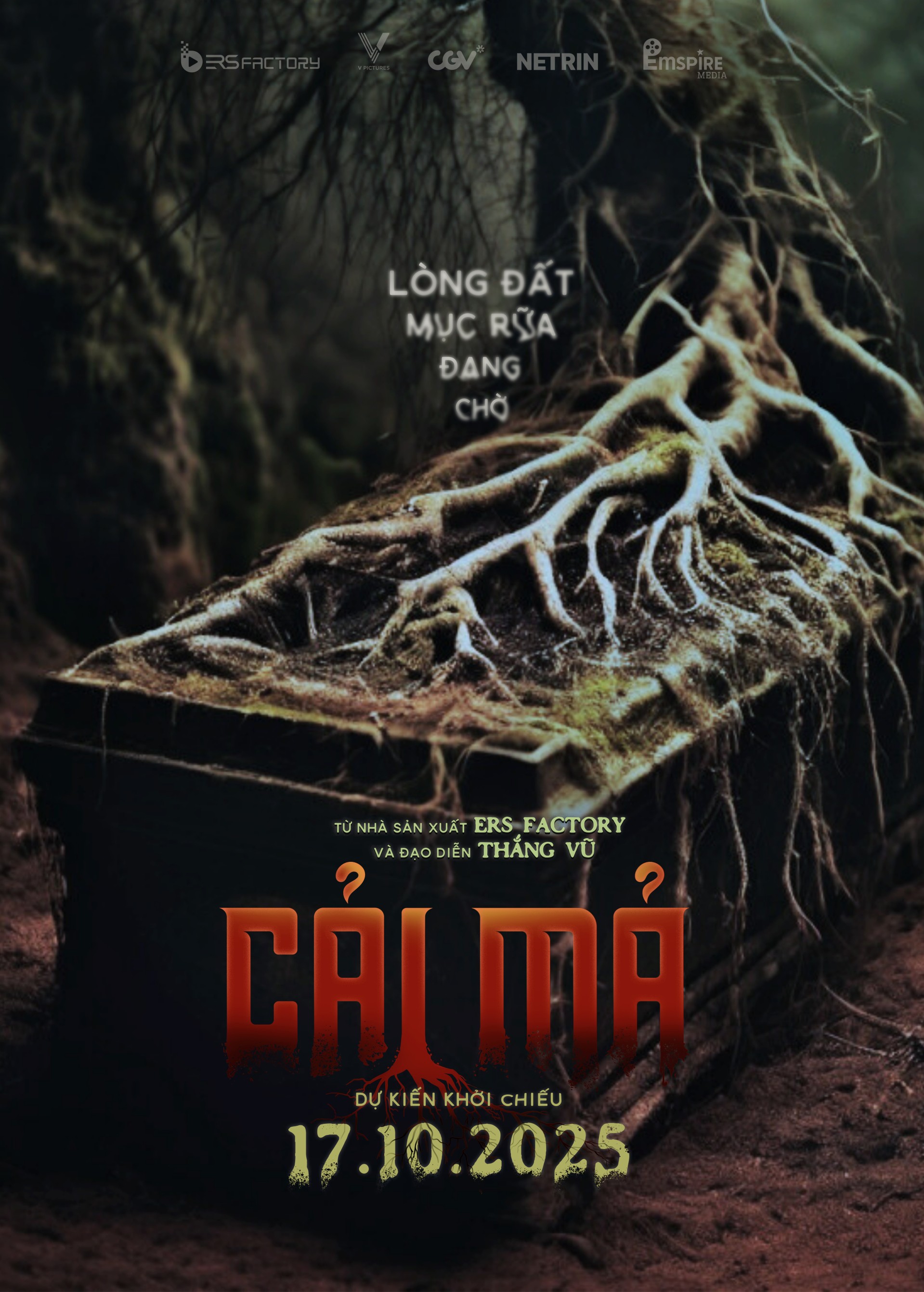 CAIMA_Firstlook