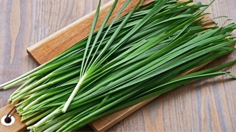 Có hình dáng như hành lá, mùi thơm giống tỏi, rau hẹ là loại rau dễ trồng, ít sâu bệnh nên gần như không cần đến thuốc trừ sâu.
