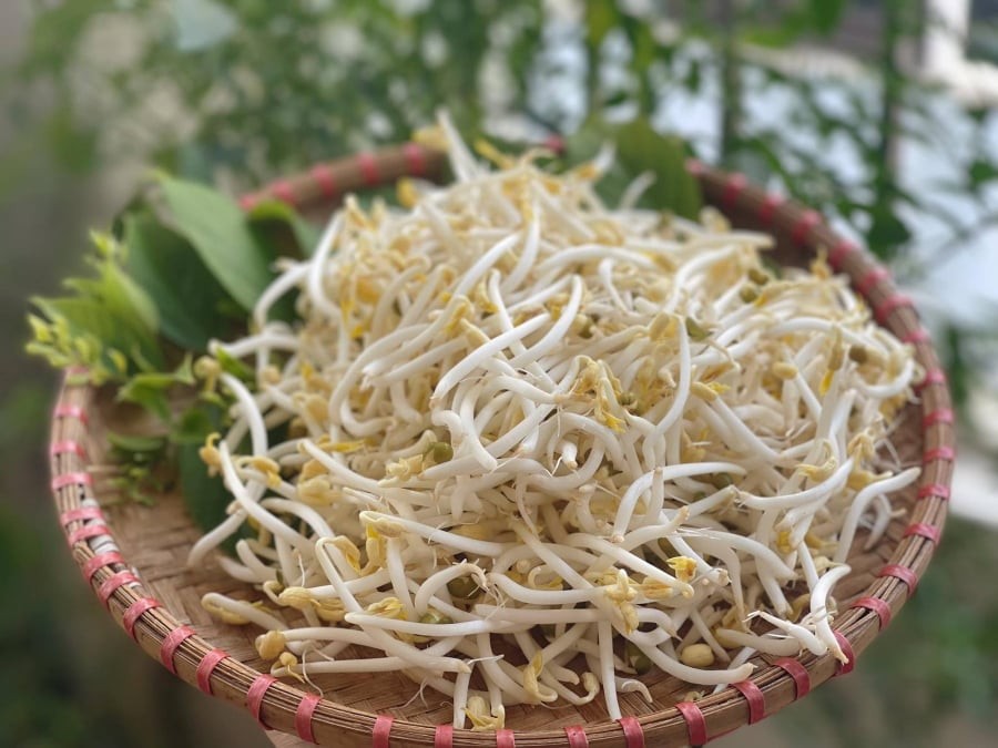 Giá đỗ là loại rau mầm quá quen thuộc với người Việt, xuất hiện nhiều trong bữa cơm hàng ngày.