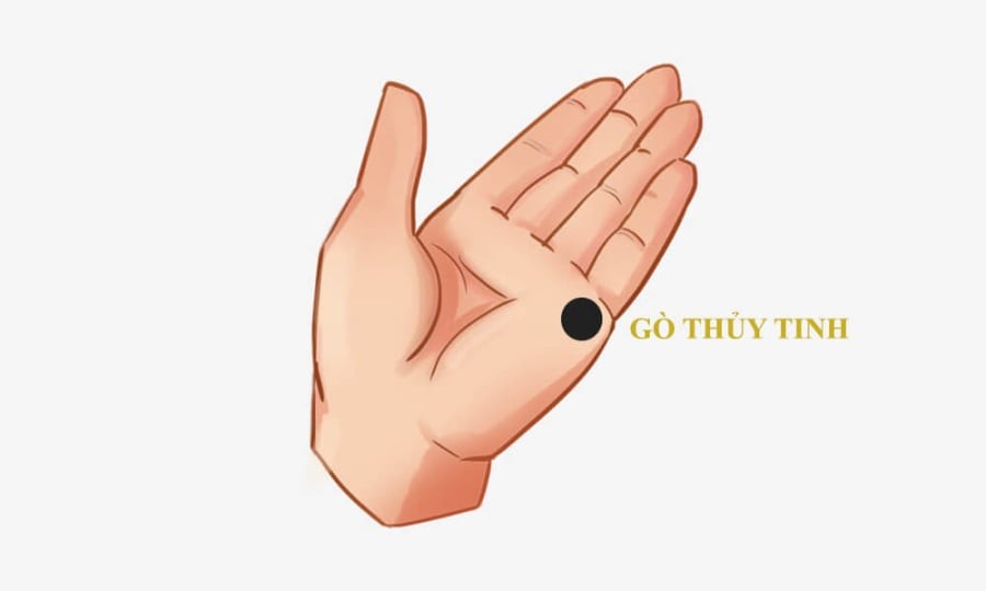 Gò Thủy Tinh (dưới ngón út) nhô cao, đầy đặn

