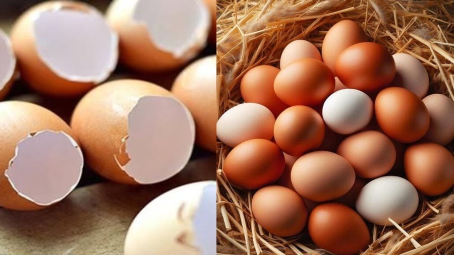 Vỏ trứng sạch có thể ăn được