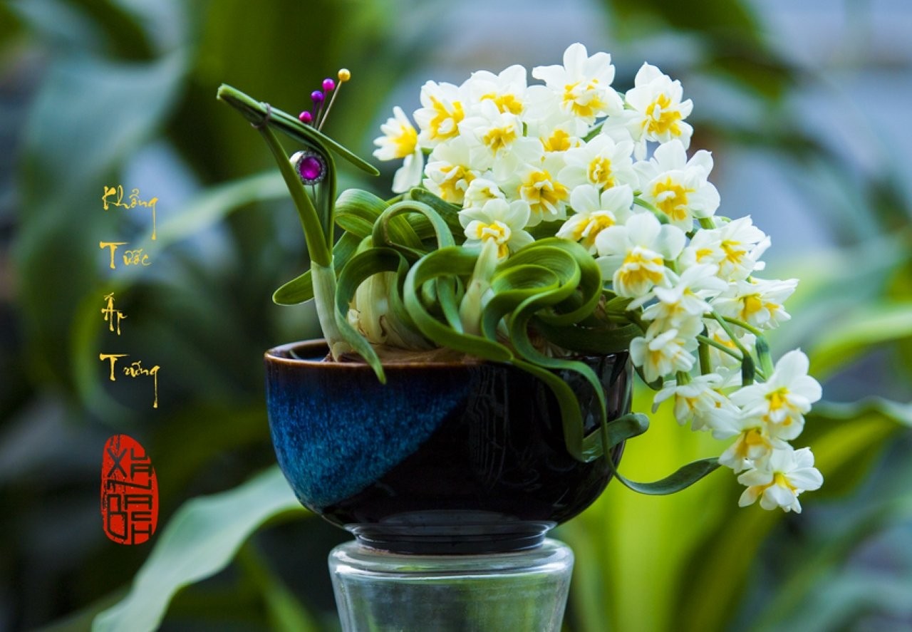 Hoa thủy tiên được tin giúp bổ trợ để nảy nở sự nghiệp, tài năng, khả năng của một người.
