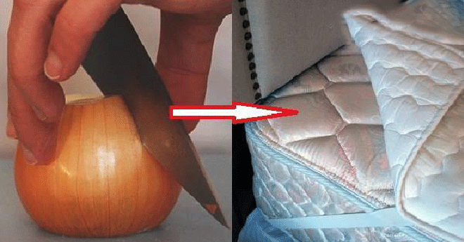 Vì sao nên đặt hành tây ở đầu giường