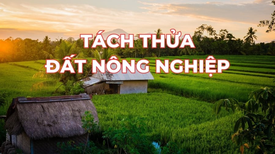 tach-thua-0dat-nong-nghiep-1