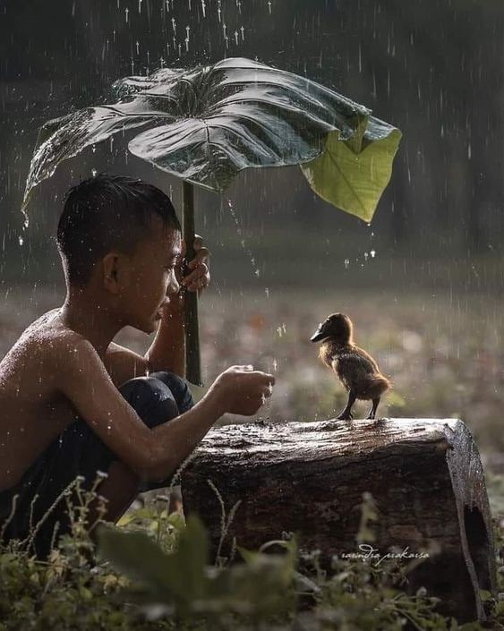 Lương thiện không chỉ là không làm điều ác