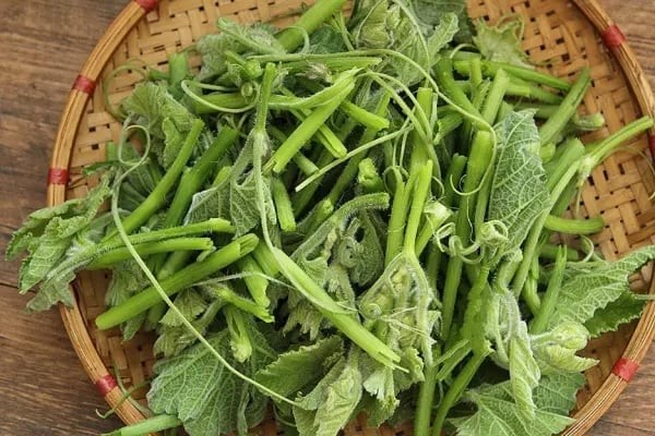 Theo dữ liệu dinh dưỡng, 100g rau bí nấu chín có thể chứa hơn 3mg sắt, cao hơn lượng sắt trong cùng khối lượng thịt bò