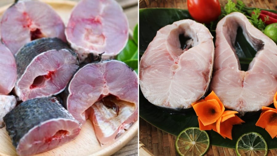Cá để lâu sau khi đánh bắt sẽ có mùi tanh rõ hơn so với cá mới vừa được bắt lên bờ.