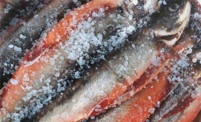 Sai lầm khi ăn cá khiến mất sạch dinh dưỡng gây bệnh
