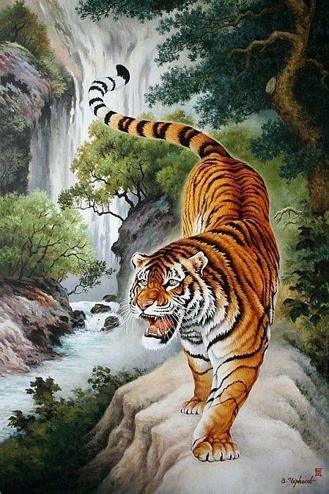 Trong 50 ngày tới, tuổi Dần tài lộc vượng phát