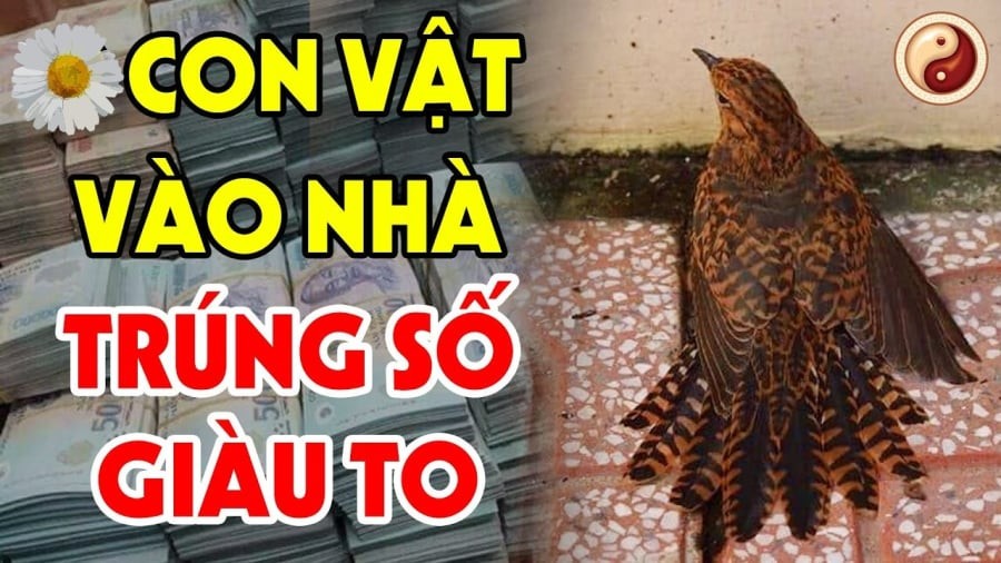 5 con vật Đệ Tử Thần Tài, đến nhà là Trúng Số giàu to