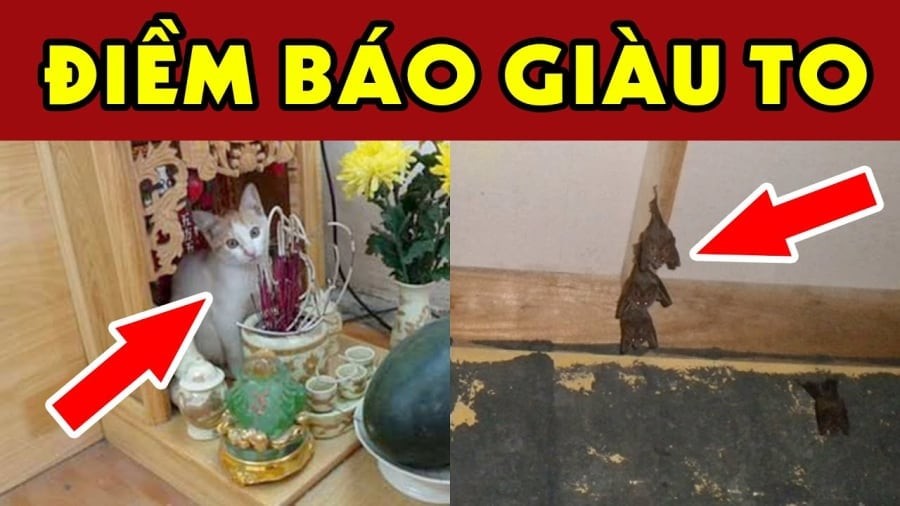 Điềm báo giàu có 