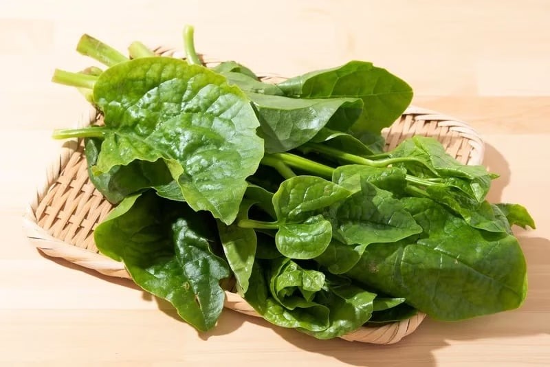 Rau mồng tơi không chỉ ngon miệng mà còn chứa nguồn dưỡng chất dồi dào, đặc biệt là collagen tự nhiên. 