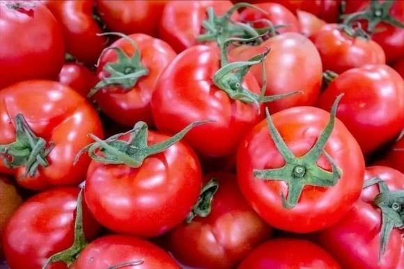 Nếu quan sát kỹ phần đáy quả, bạn sẽ thấy có hai kiểu: một số quả có phần đáy bằng phẳng, tròn trịa; trong khi những quả khác lại nhọn lên như một chiếc chóp nhỏ.
