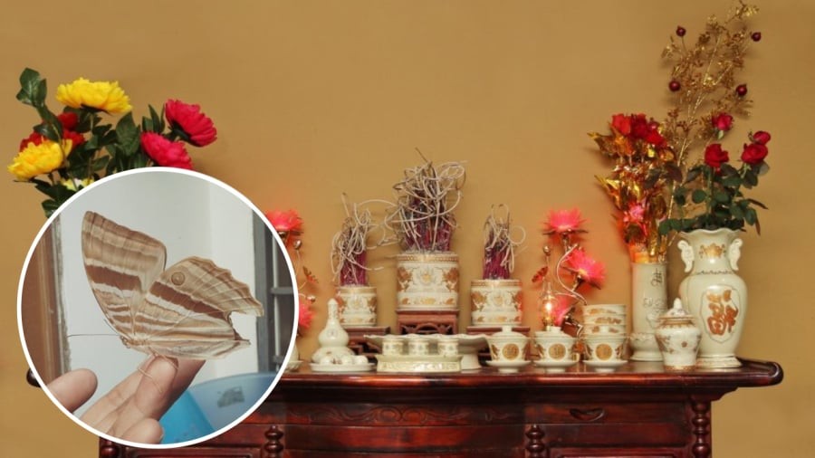 Bướm đậu trên bàn thờ được coi là điềm lành.