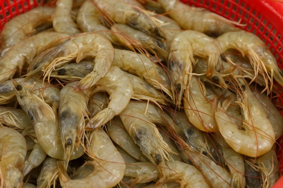 Tôm có đầu đen, nhớt và màu nhạt là dấu hiệu phân hủy – tuyệt đối không nên mua.
