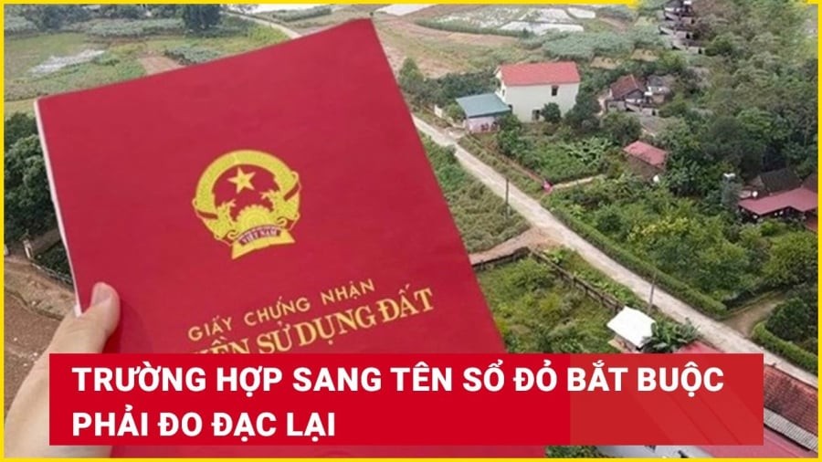 Các thay đổi về ranh giới thửa đất, diện tích thửa đất, mục đích sử dụng đất.