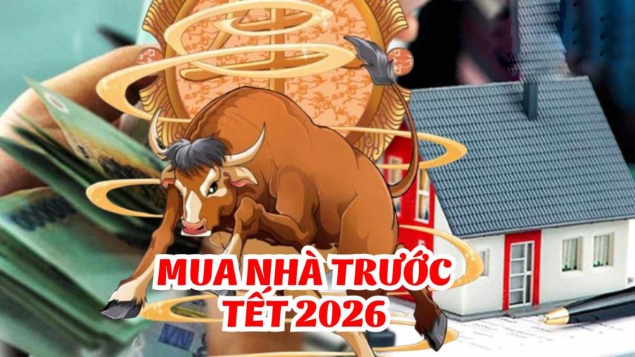 Tuổi trẻ của họ có thể bấp bênh, nhưng càng lớn tuổi, vận số càng ổn định.