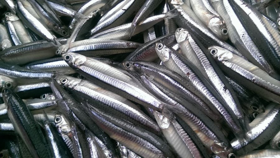 Omega-3