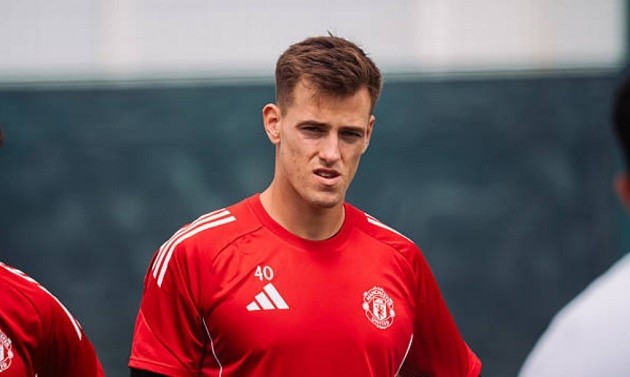 Vitek