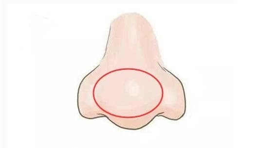 Người sở hữu đầu mũi tròn, cánh mũi đầy đặn thường mang dáng vẻ hiền hòa, thân thiện và dễ tạo thiện cảm với người xung quanh.