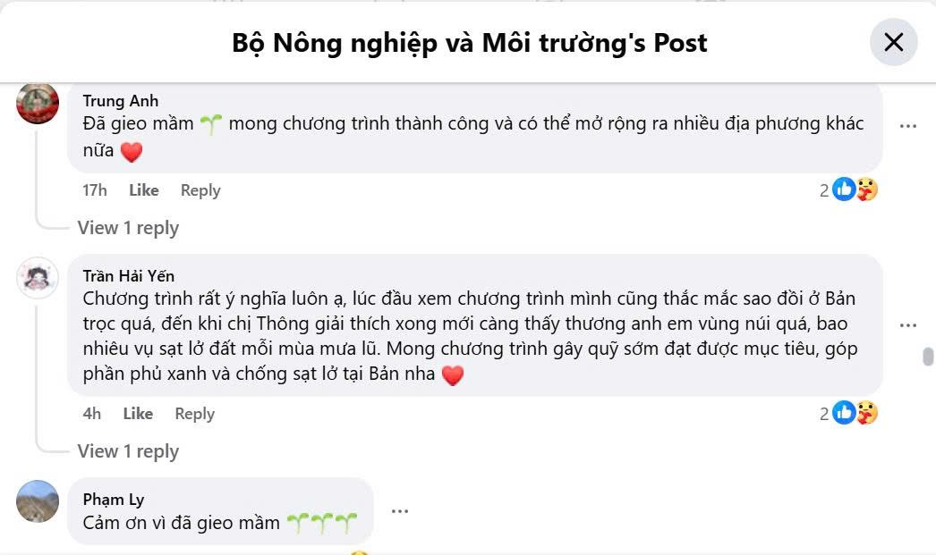 4. Bình luận
