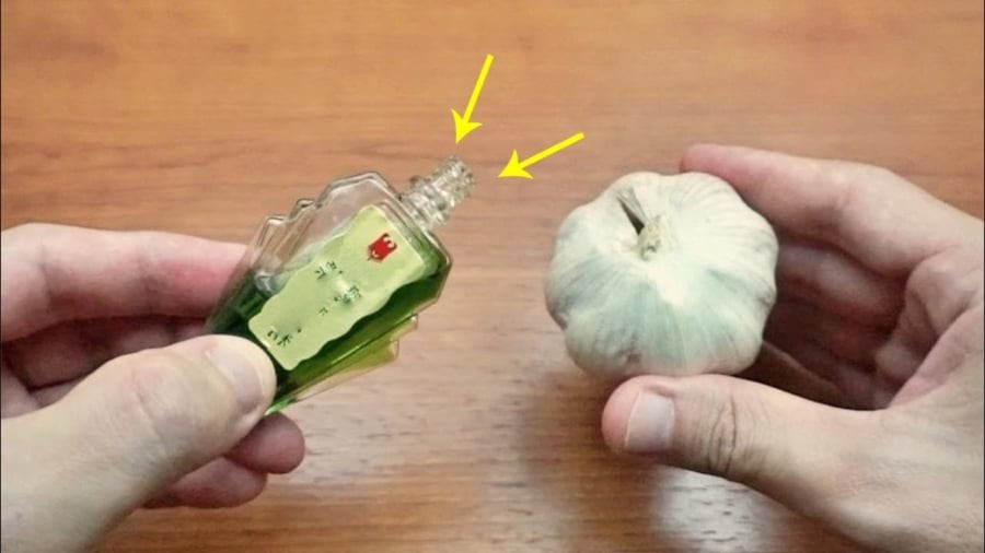 Trộn tỏi với dầu gió giúp đuổi muỗi rất tốt.