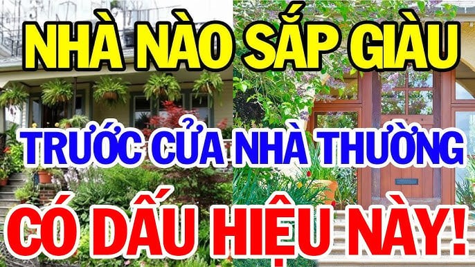 Dấu hiệu nhà sắp phát tài