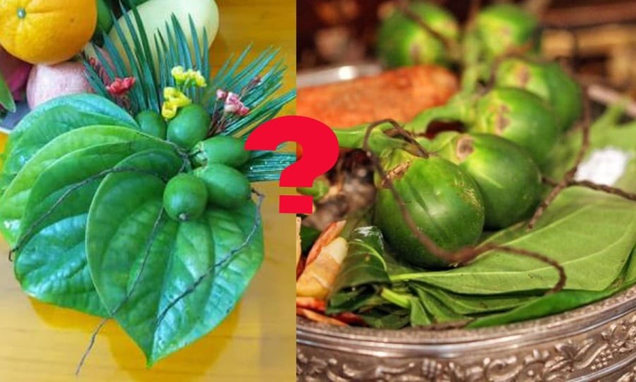 Hái bao nhiêu lá trầu, quả cau để thắp hương để Tổ tiên ưng bụng ban Lộc đề huề?