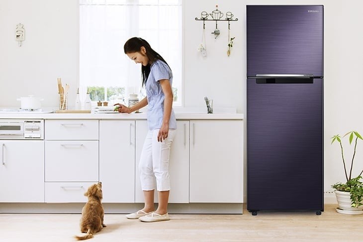 Trong nhiều gia đình, do không gian hạn chế, việc tận dụng nóc tủ lạnh để đặt thêm lò vi sóng, lò nướng hoặc các thiết bị điện khác là khá phổ biến.

