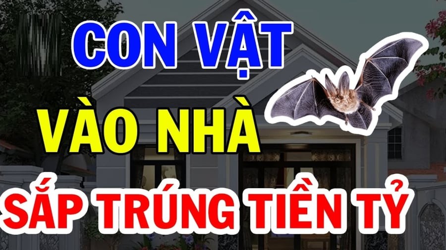 4 con vật Đệ Tử Thần Tài, vào nhà mang theo Tiền của, chớ dại mà xua đuổi