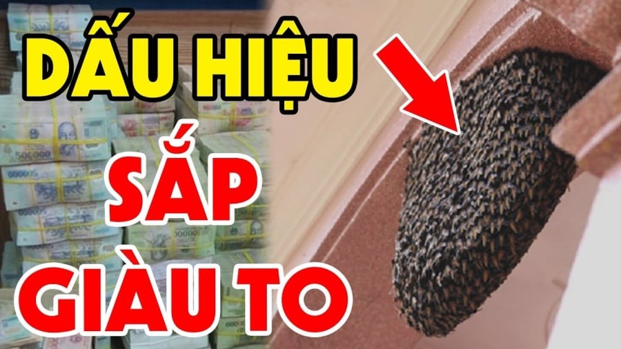 4 con vật Đệ Tử Thần Tài, vào nhà mang theo Tiền của, chớ dại mà xua đuổi