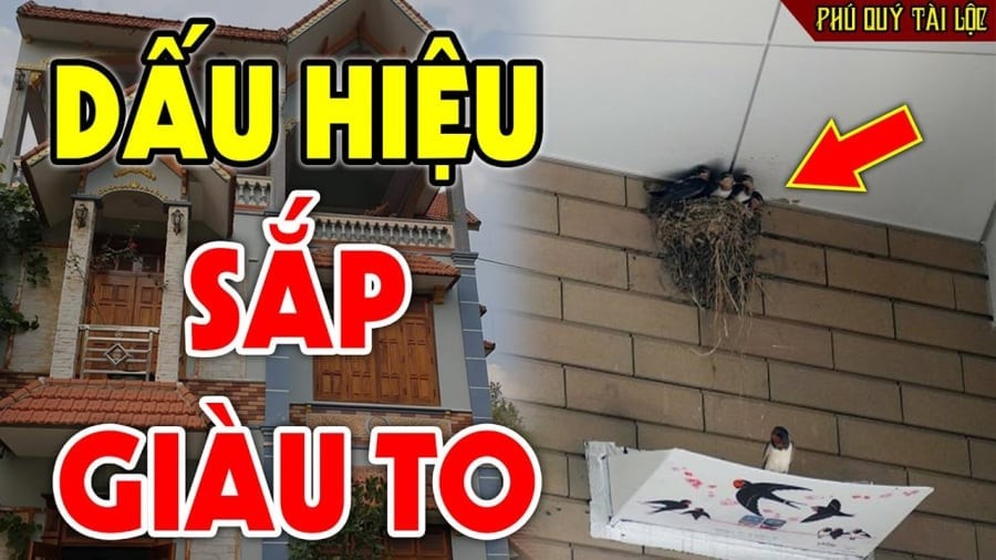 Dấu hiệu nhà sắp giàu to