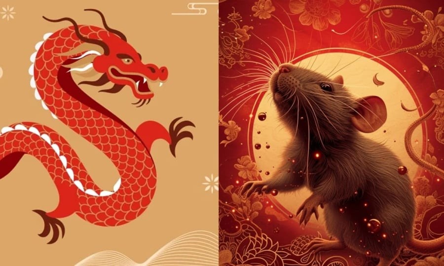 Cha tuổi Thìn – Con tuổi Tý: Cặp đôi Kim Cương trong làm ăn