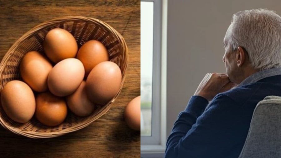 Ăn trứng gà đúng cách giúp người giả giảm nguy cơ bệnh Alzheimer