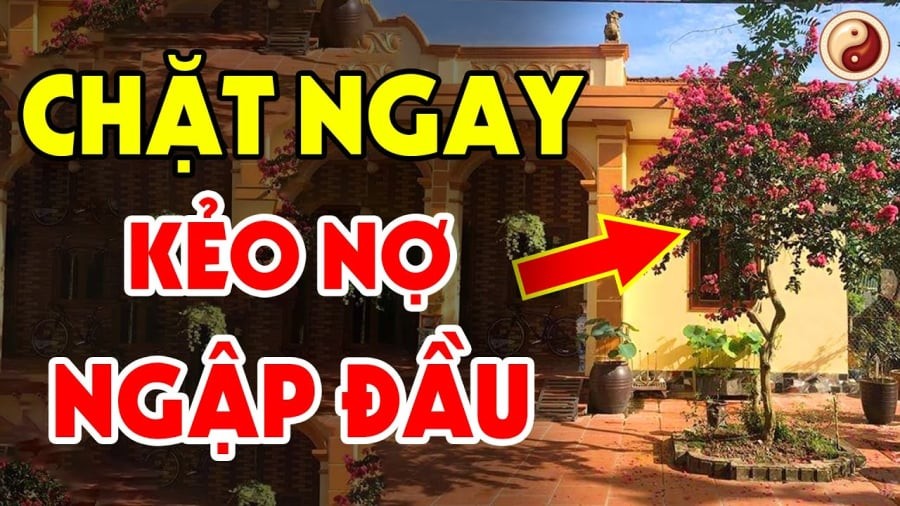 cay