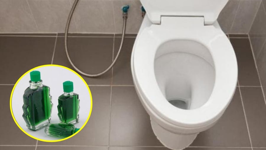 Nhỏ dầu gió vào bồn cầu giúp khử mùi hôi một cách hiệu quả, nhanh chóng.