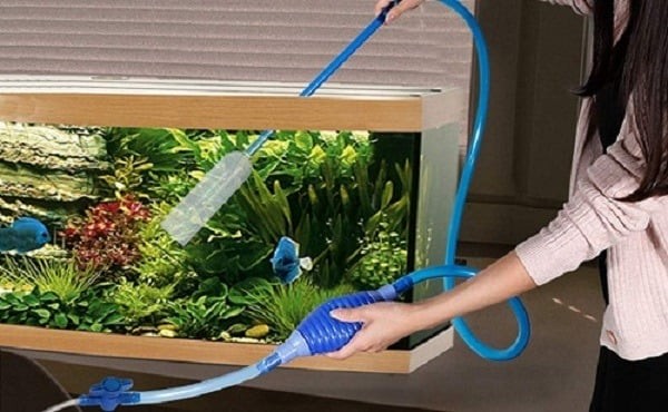 Với những gia đình có nuôi cá cảnh, nước trong bể cá sau khi thay không nên bỏ đi.
