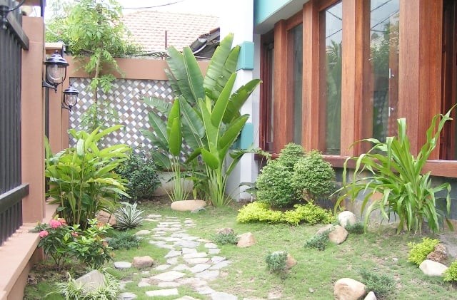 Cây cối quanh nhà xanh tốt quanh năm

