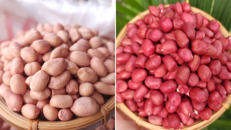Ngoài màu sắc, lạc trắng và lạc đỏ cũng có những khác biệt nhất định về hương vị.