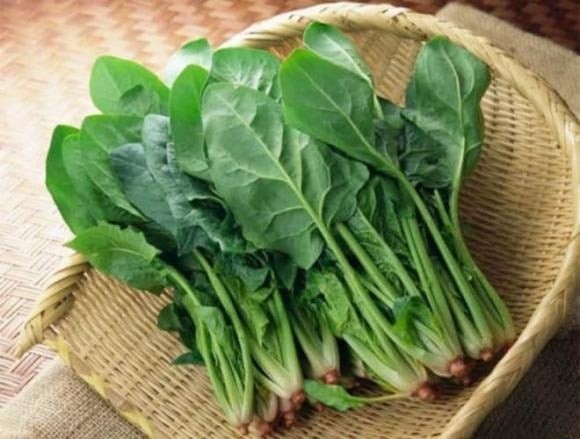 Cải bó xôi, hay còn gọi là rau chân vịt, có nguồn gốc từ vùng đất Ba Tư cổ đại và dần lan rộng sang châu Âu, châu Á.