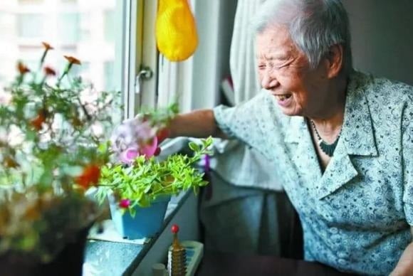 Một câu trả lời đầy chiều sâu, vừa nhẹ nhàng chuyển hướng cuộc trò chuyện sang điều quan trọng nhất của tuổi già: sức khỏe và sự bình an.