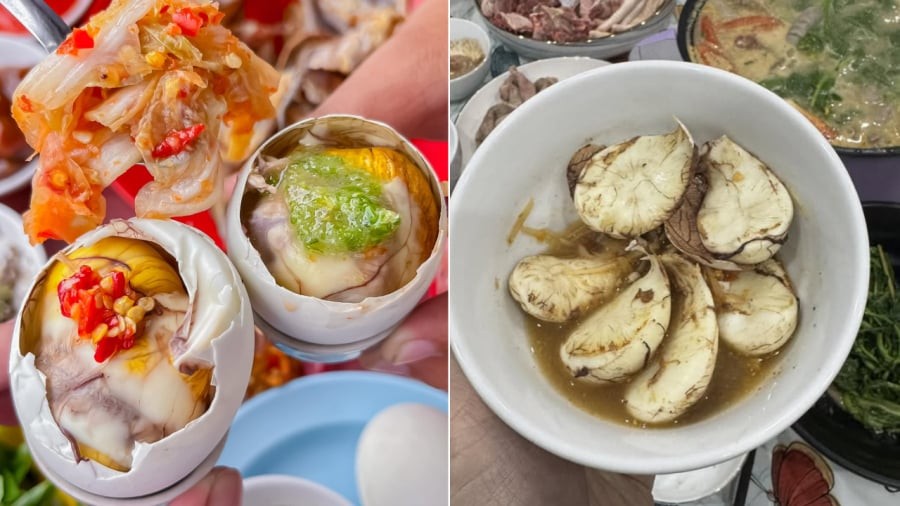 Cùi dừa trong quả trứng vịt lộn là phần lòng trắng bị cô đặc lại.