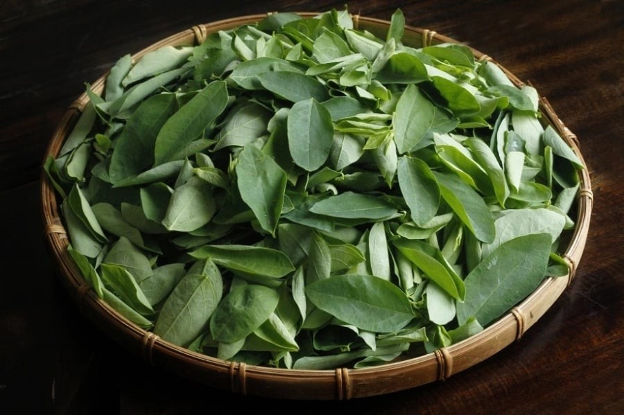 Loại rau giàu sắt gấp 3 lần thịt bò, cắm xuống đất là lên tua tủa, ăn quanh năm
