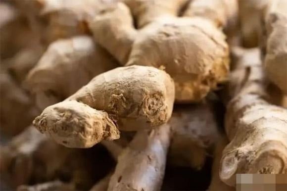 Tăng Quốc Phiên từng nói: “Gia đình giữ được hòa khí, ắt sẽ hưng thịnh.”