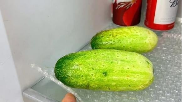 Mùa hè, chúng ta hay bảo quản trái cây và rau củ trong tủ lạnh để giữ độ tươi.